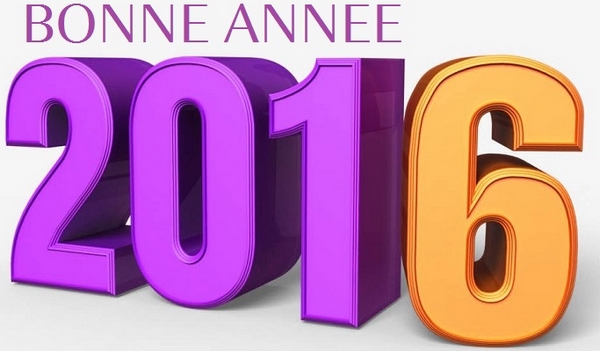 bonne_année_2016_2_600px