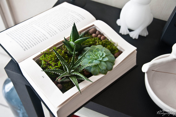 Source https://ouiaremakers.com/posts/tutoriel-diy-le-livre-vegetal