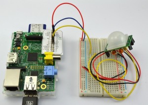 breadboard and pi - web