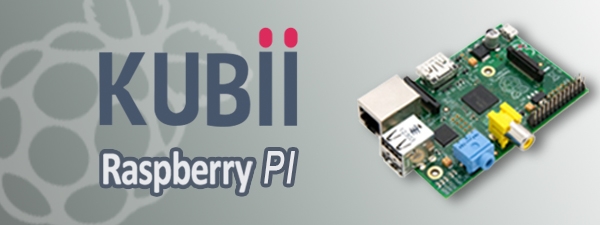 Kit de composants électroniques pour Raspberry Pi - KUBII