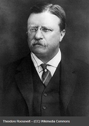 theodore_roosevelt