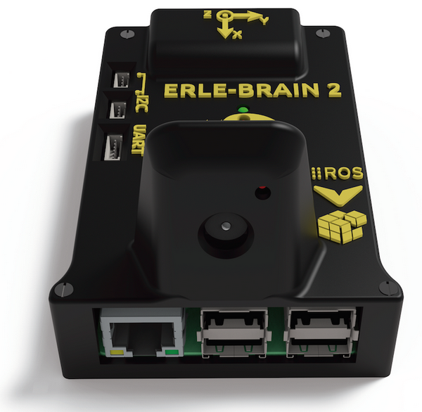 erle_brain2