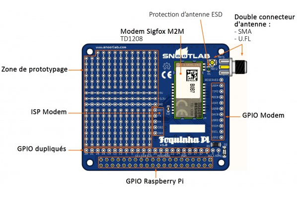 Foquinha_Pi_comment&eacute;e_fr_600px