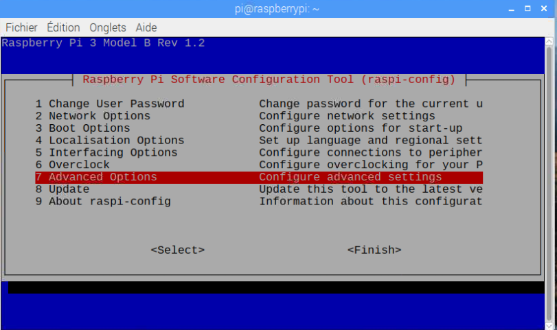 raspi-config Advanced Options