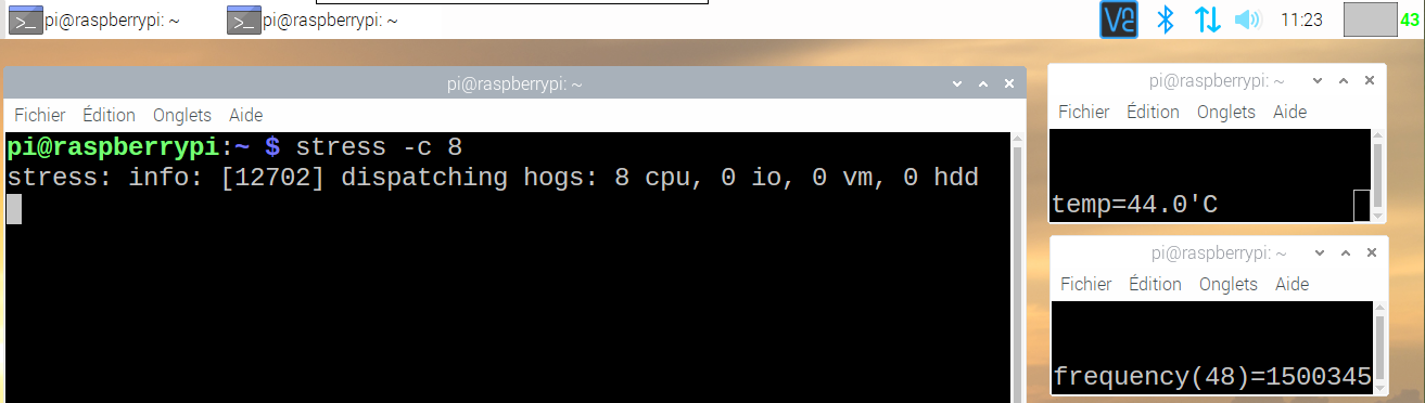 Fenêtre de Raspbian après 10 minutes de test avec la commande stress -c 8