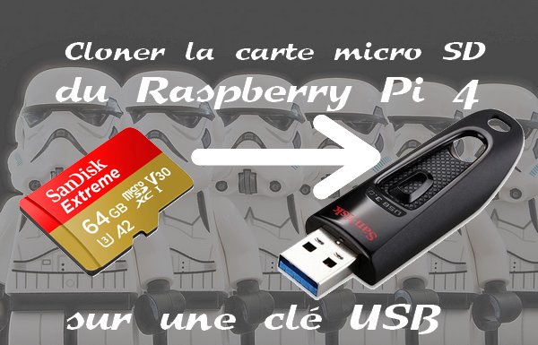Cloner une carte micro SD sur une clé USB - Raspberry Pi 4 - Framboise 314,  le Raspberry Pi à la sauce française.