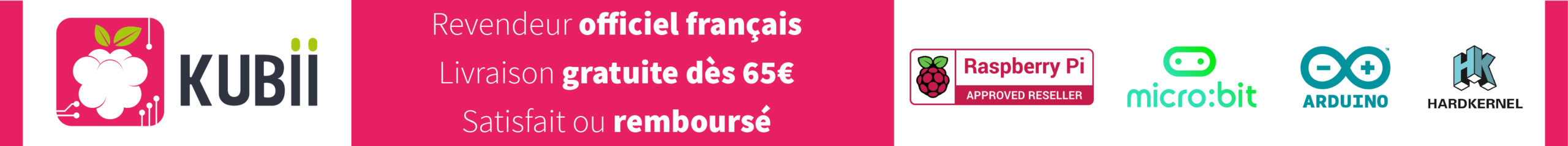 Bannière de publicité pour Kubii - Mise en place avril 2022