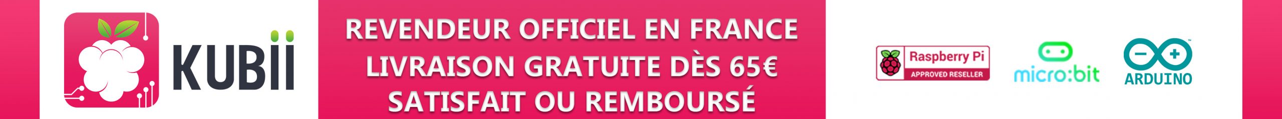 Bannière de publicité pour Kubii - Mise en place avril 2022