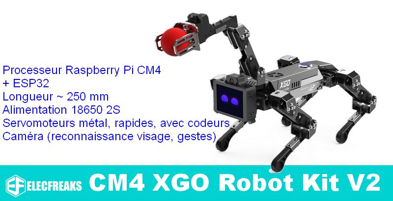Robots RC Jouets pour enfants geste et détection robot - Temu France